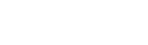 logo_zgtelecom_wit